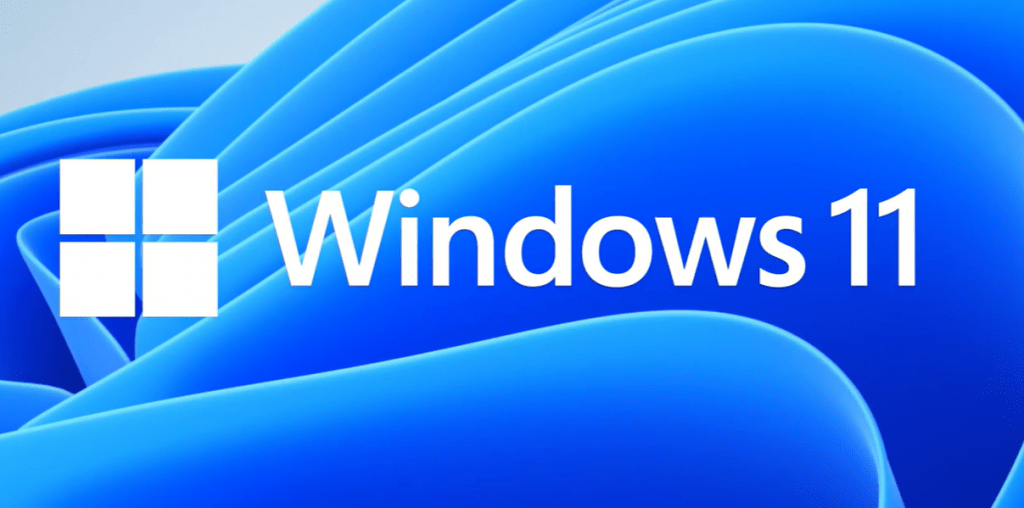 Windows 11 IoT version